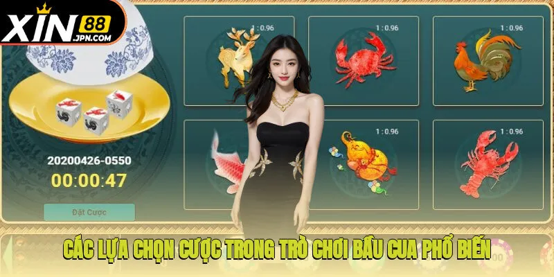 Các lựa chọn cược trong trò chơi Bầu Cua phổ biến nhất tại nhà cái