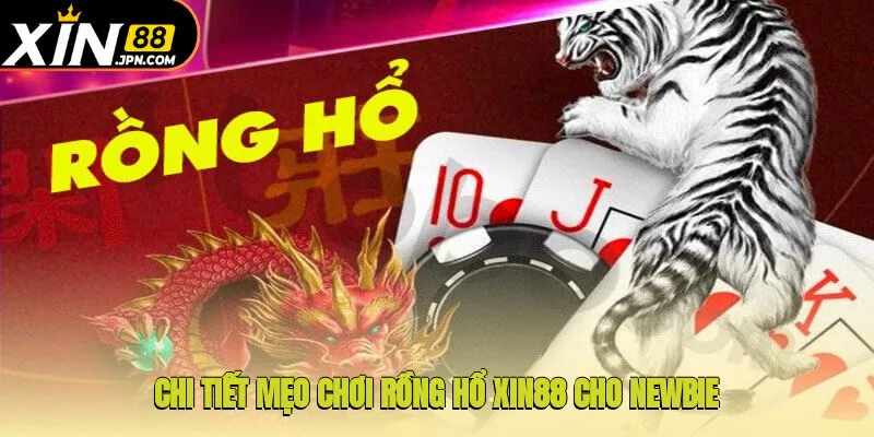 Chi tiết mẹo chơi rồng hổ Xin88 cho newbie