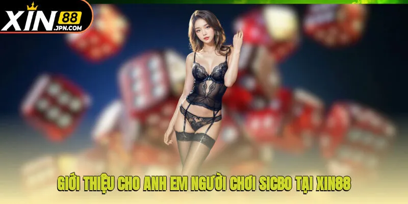 Giới thiệu cho anh em người chơi Sicbo tại Xin88